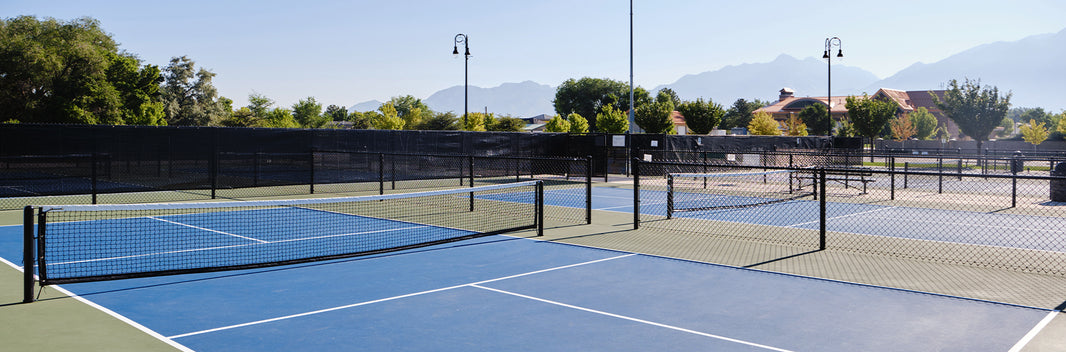 The Shape of the Pickleball Paddle